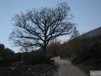 2026-04-18 Velino da S. Maria in Valle 008